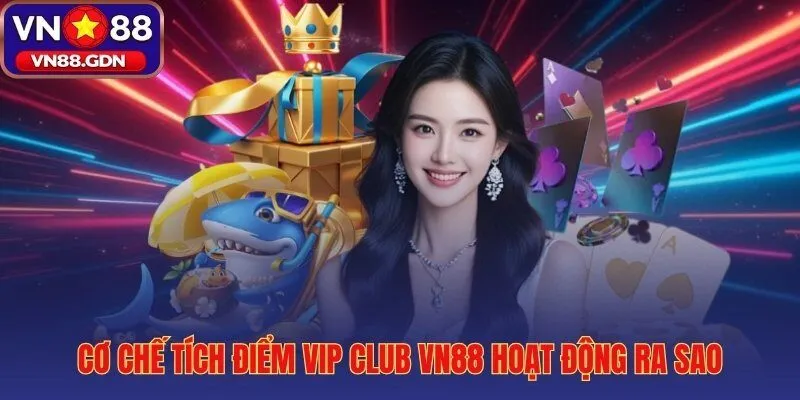 Hệ thống loyalty points và công thức quy đổi cược sang điểm VIP