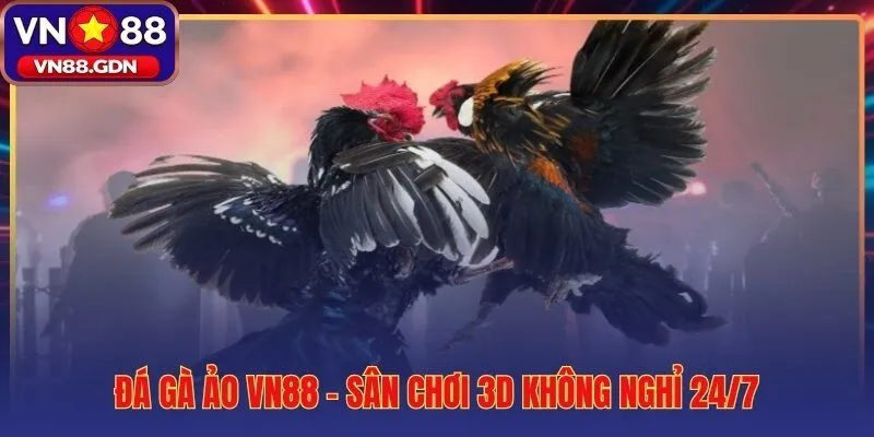 Đá gà ảo VN88 và C1 Thomo 4 tiêu chí so sánh trực tiếp