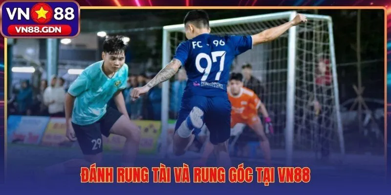 Rung Tài và Rung Góc hai loại kèo live tín hiệu rõ nhất