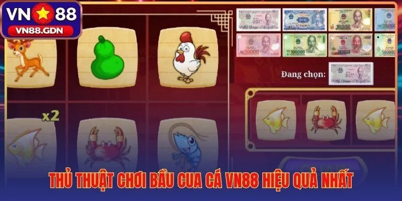 Thủ thuật chơi bầu cua cá VN88 qua ba kỹ thuật thực chiến hiệu quả